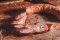 Sliced Ã¢â¬â¹Ã¢â¬â¹smoked calabrese sausage in a wooden table,copy space